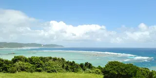【奄美大島】絶景ビーチとグルメ🥭2泊3日で満喫旅