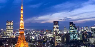 夜桜をみるならライトアップが綺麗な港区