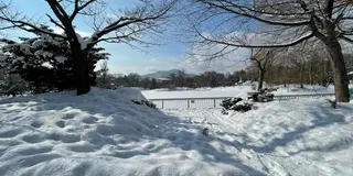 雪まつりと札幌旅行