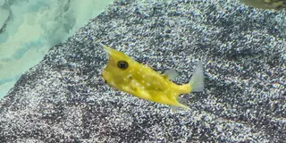 淡路島旅行🐡※記録
