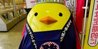 【しまなみ海道】初心者女子による今治→尾道1日サイクリング