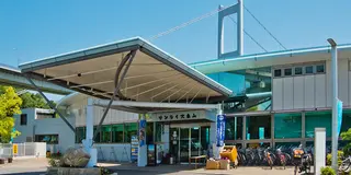 しまなみサイクリング大島