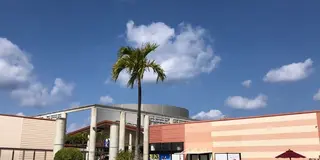 【沖縄】レンタカーを使わずに行ける那覇の人気スポット🛍️♪🦖