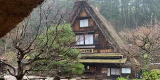 下呂温泉旅行♨️  (大阪から一泊2日)