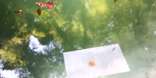 1泊2日❤️‍🔥縁結び出雲旅
