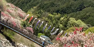 春の南信州旅行