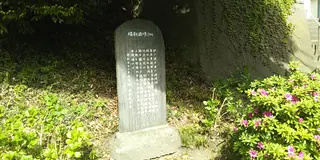 いざ鎌倉！６５度の合戦が行われた激戦地