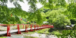 新緑の候＊五月小旅行