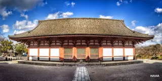 【京都】亀のパワースポット！？　東寺　教王護国寺
