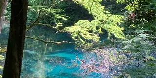 2023年世界遺産白神山地の旅