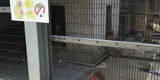 みんな子育て楽しもうぜ！鳥取駅徒歩圏内の子連レッツプラン！