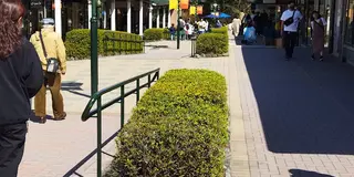 御殿場〜箱根冬旅