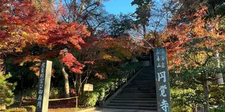 【鎌倉】1日で鎌倉を周り尽くすプラン。