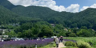 【初夏の河口湖】ひとり旅・日帰り