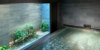 そうだ！京都いこ