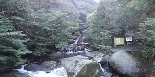 私の九州自然ツアー！