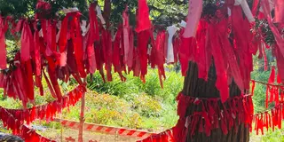 遠野と花巻、盛岡を巡る旅。