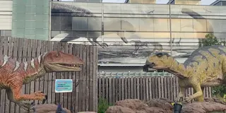 【福井県】7月にリニューアルした恐竜博物館へ！本館から新館までたっぷり紹介🦖✨