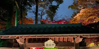 栃木県　鹿沼ぶっつけ秋祭りを鑑賞！鹿沼市を巡る旅