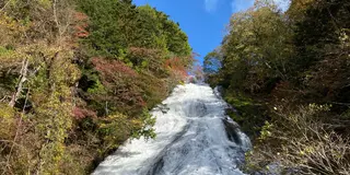 【栃木県日光方面】ドライブで日帰り紅葉巡り