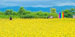 あわら温泉周辺をチャリで巡る