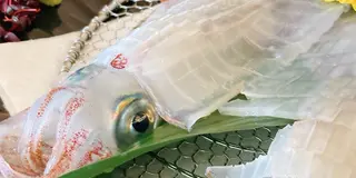 キニナル佐賀