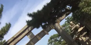 ひとりふらっとおでかけ住吉大社へいらっしゃい