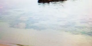 12時間レンタカーでゆく、日帰りエメラルドの海とうまいもん。