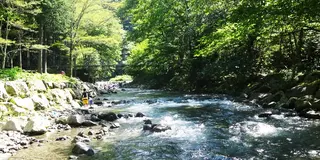 静岡市清水森林公園やすらぎの森