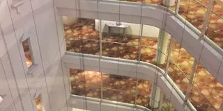 横浜ベイエリア&中華街ランチ12000歩コース