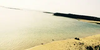 徳之島・亀津を散歩！〜島民の生活はどんな感じなの？編〜