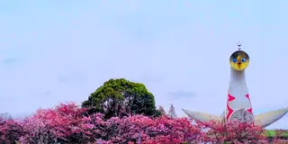 太陽の塔へ行こう！