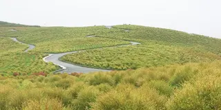 季節毎に様々な顔を見せてくれる公園デス。