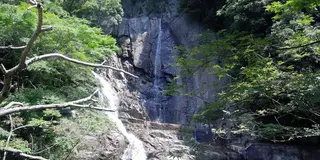 日野🌲御嶽渓谷🏞都内のドライブ🚘
