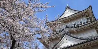 家族とおでかけ。春の散策城下町小田原。
