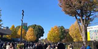 秋の新宿近辺デート🍁
