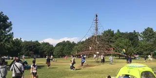 愛犬と行く稲毛海浜公園•Inage Beachfront Park with lovely Dog
