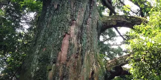 大井川と千葉山で ゆったりパワースポット
