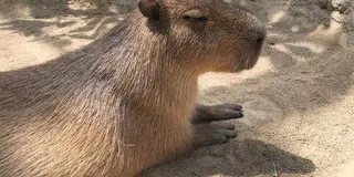 神戸の街中で、のんびりユル旅♨️