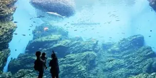 仙台★仙石線欲張りツアー