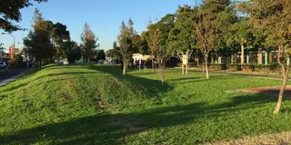 ワンちゃんと歩く篠崎公園と近くのドックカフェ