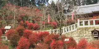 紅葉、登山、自然癒しの旅