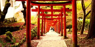 兵庫県 紅葉巡り