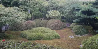 のんび〜〜〜り京都