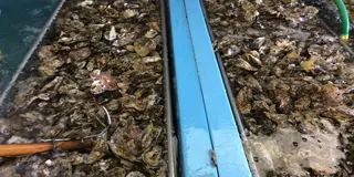 旬の牡蠣を満喫！相生赤穂でコテージ泊の旅*(^o^)/*