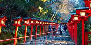 11月京都、紅葉を求めて①