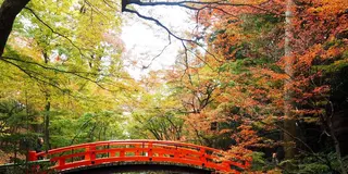 11月京都、紅葉を求めて③