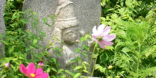 奈良　花の寺、般若寺～ならまち街歩き