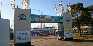 プロ野球宮崎キャンプからの南下政策