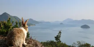 広島・竹原市のオススメの場所まとめてみた